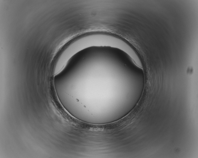 X0000115080440200911171157