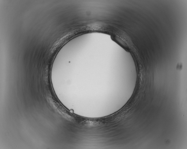 X0000115080442200911171157