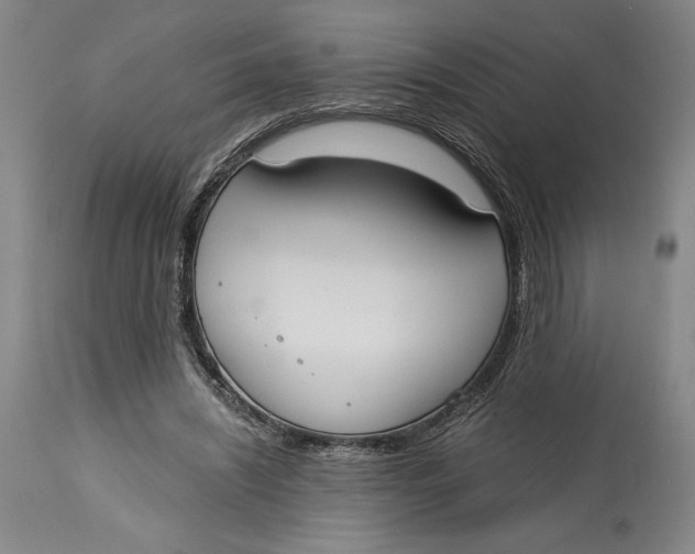 X0000115080444200911171157