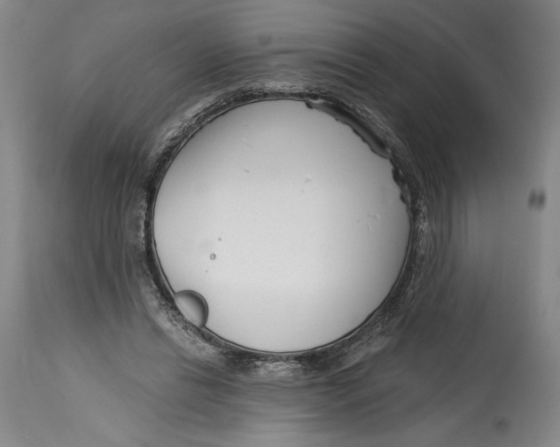 X0000115080446200911171157