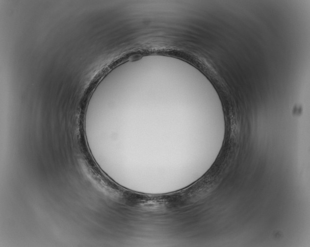 X0000115080447200911171157