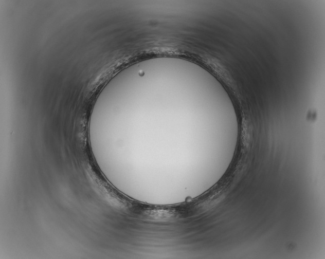 X0000115080449200911171157