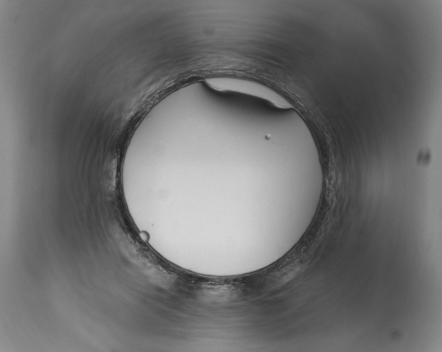 X0000115080454200911171158