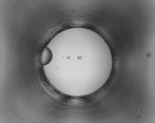 X0000115080455200911171158