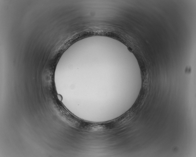 X0000115080456200911171158