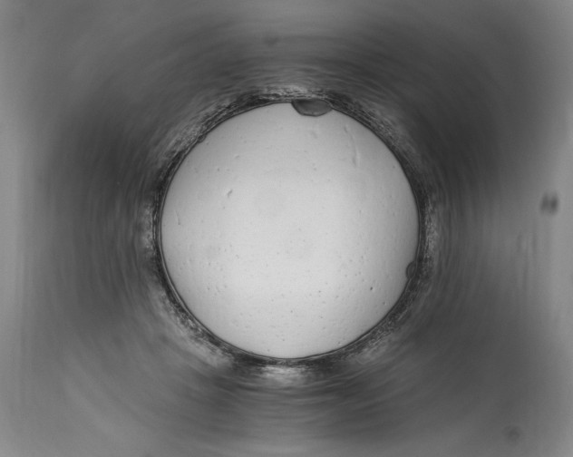X0000115080457200911171158