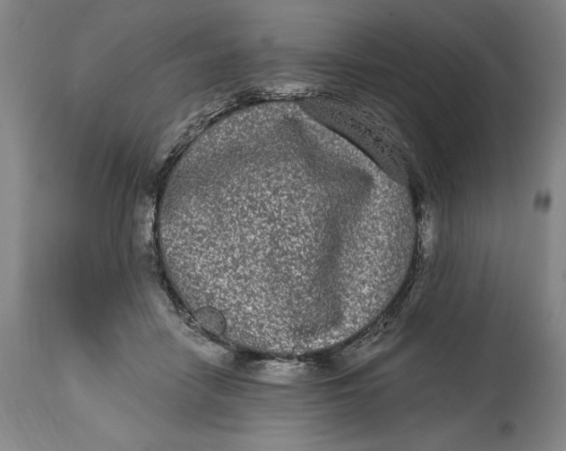 X0000115080458200911171158