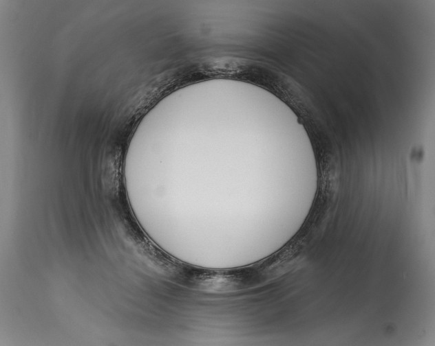 X0000115080460200911171158