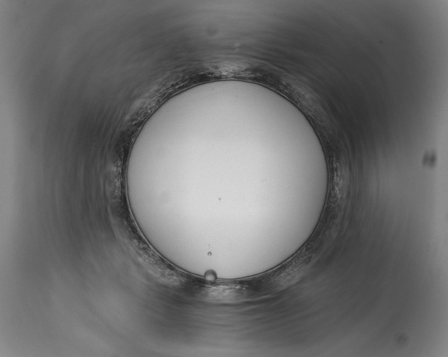 X0000115080461200911171158