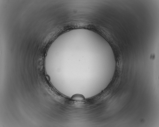 X0000115080462200911171158
