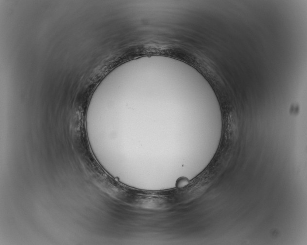 X0000115080463200911171158