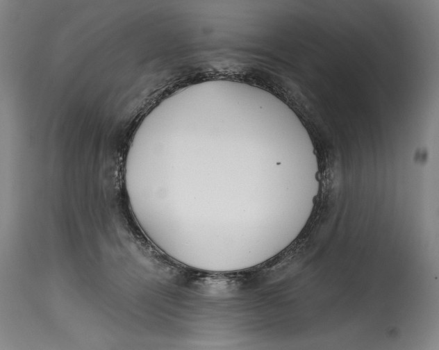 X0000115080464200911171158