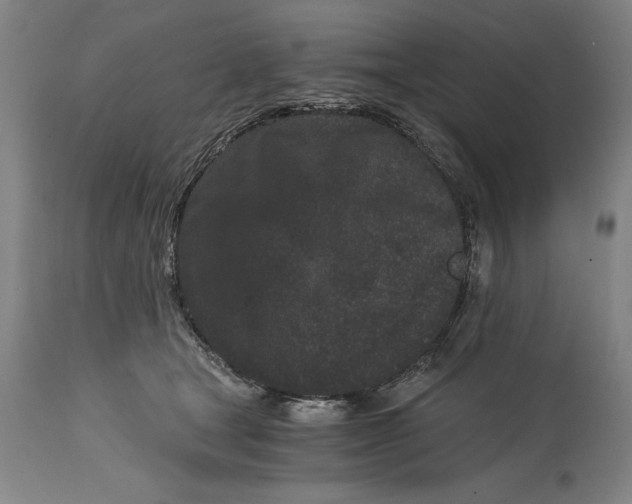 X0000115080465200911171158