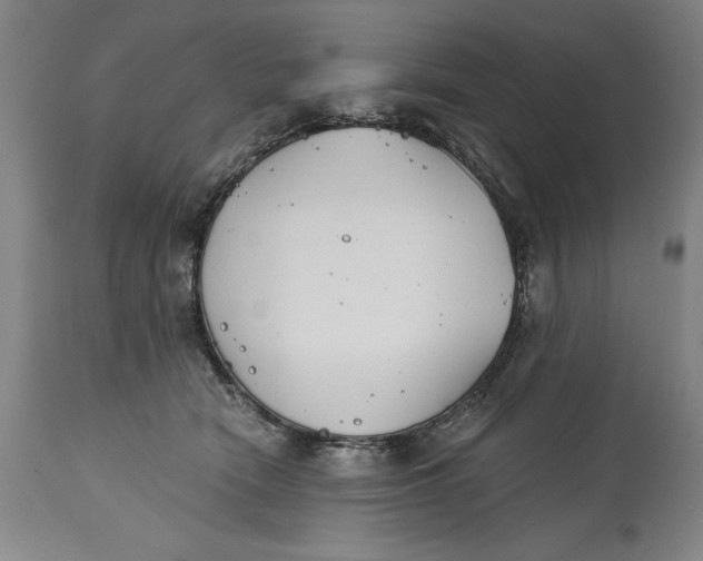 X0000115080466200911171158
