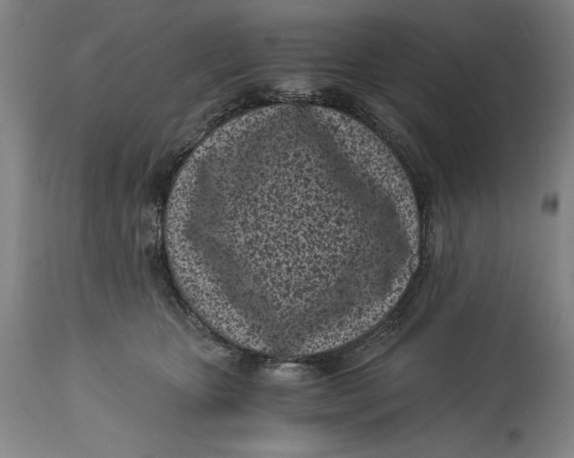 X0000115080467200911171158