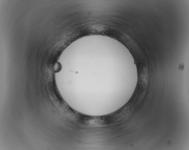 X0000115080468200911171158
