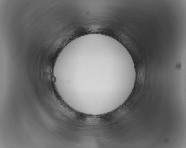 X0000115080470200911171158