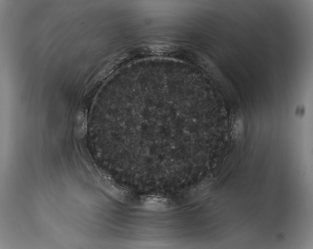 X0000115080471200911171158