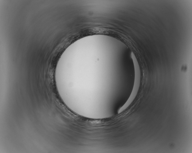 X0000115080473200911171158