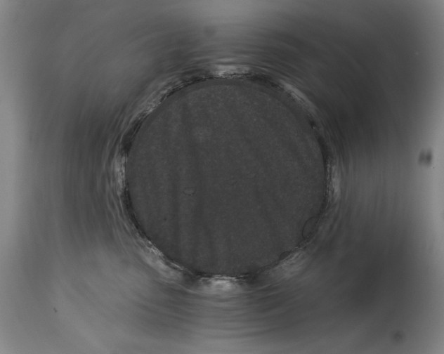 X0000115080475200911171158