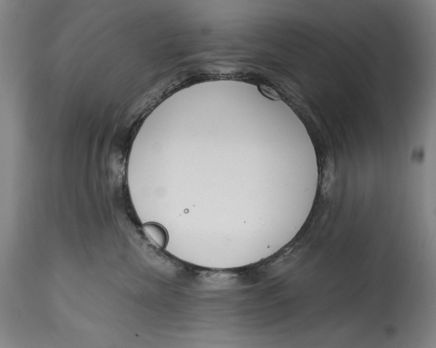 X0000115080476200911171158