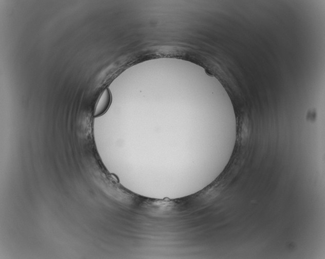 X0000115080478200911171158
