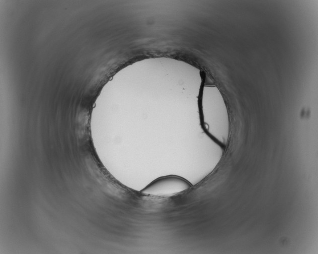 X0000115080480200911171158