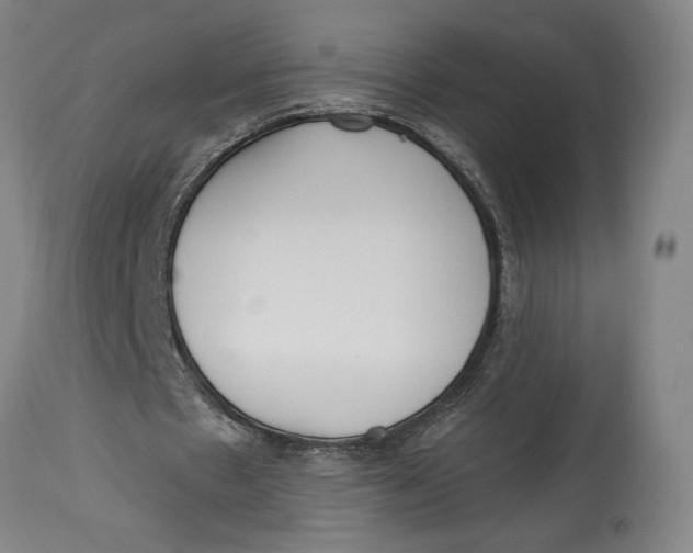 X0000115080481200911171157