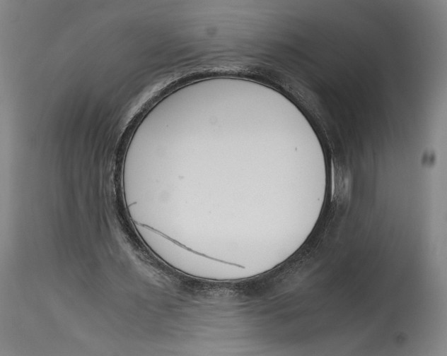X0000115080483200911171157