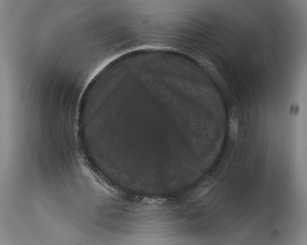 X0000115080484200911171157