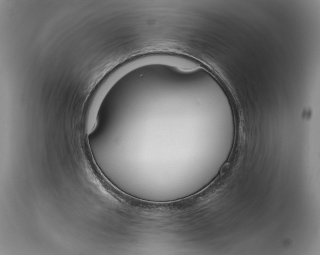 X0000115080485200911171157