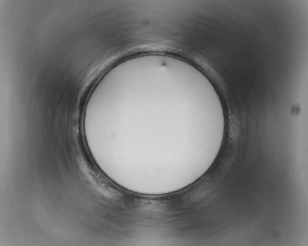 X0000115080486200911171157