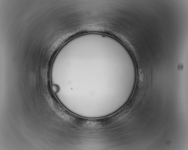 X0000115080487200911171157