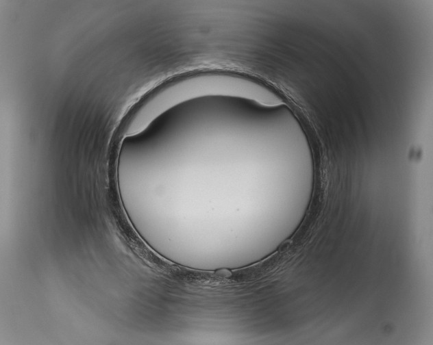 X0000115080488200911171157