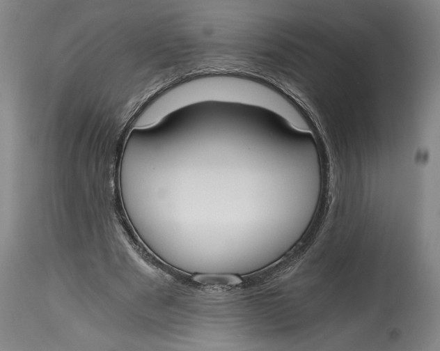 X0000115080489200911171157