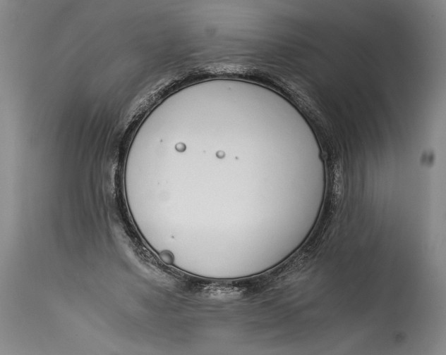 X0000115080491200911171157