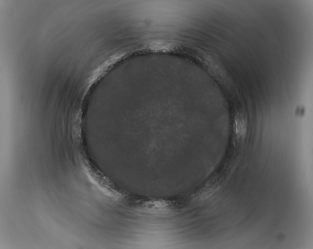 X0000115080492200911171157