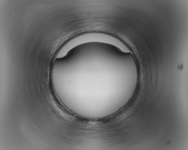 X0000115080493200911171157