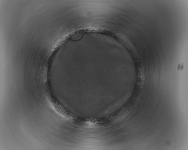 X0000115080496200911171157