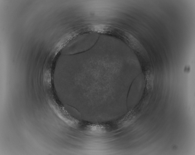 X0000115080500200911171157