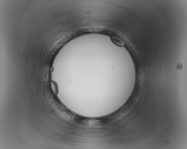 X0000115080501200911171157