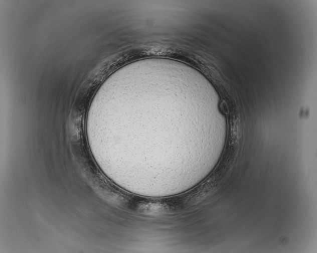 X0000115080503200911171157