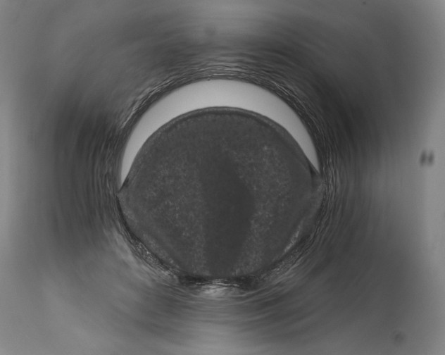 X0000115080504200911171157