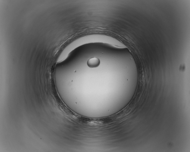 X0000115080508200911171157