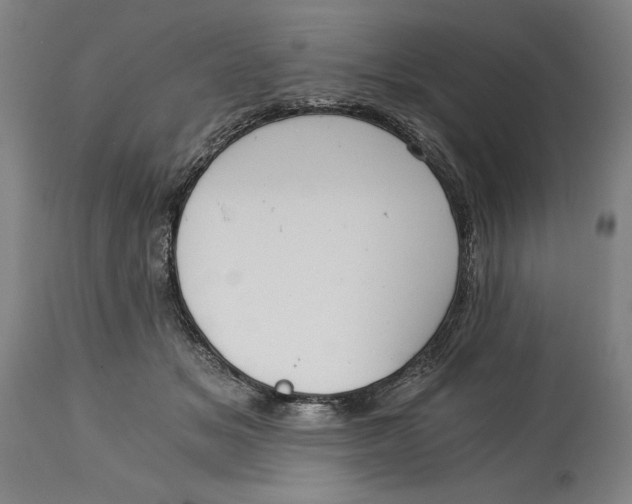 X0000115080509200911171157