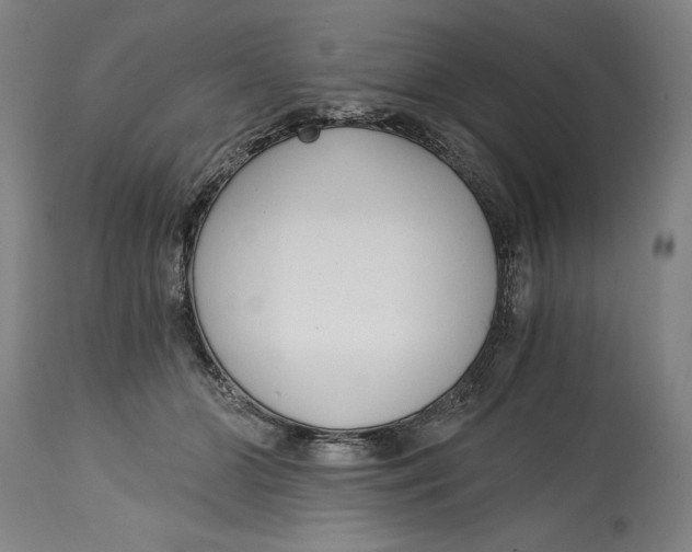 X0000115080510200911171157