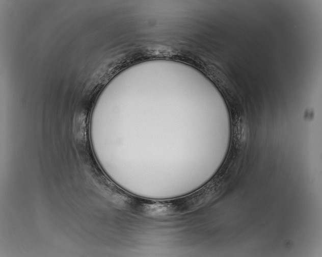 X0000115080511200911171157