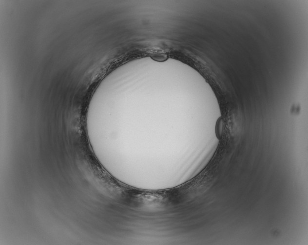 X0000115080512200911171157