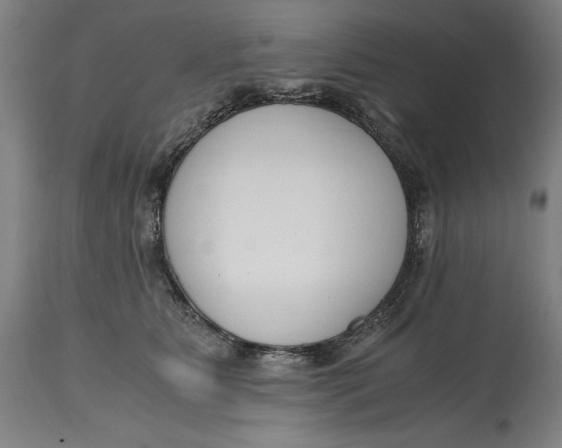 X0000115080515200911171157