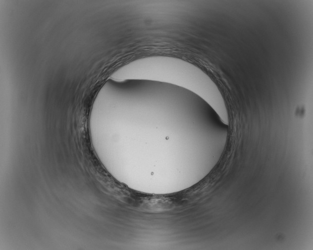 X0000115080517200911171157